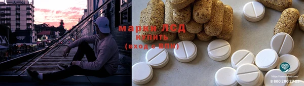 прущие грибы Алексин