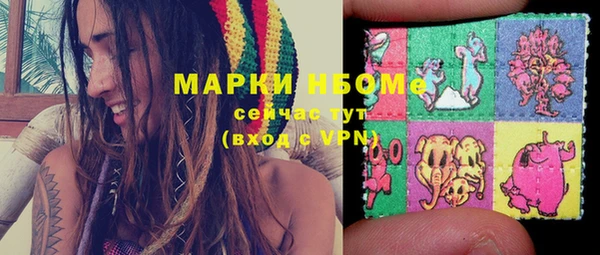 прущие грибы Алексин