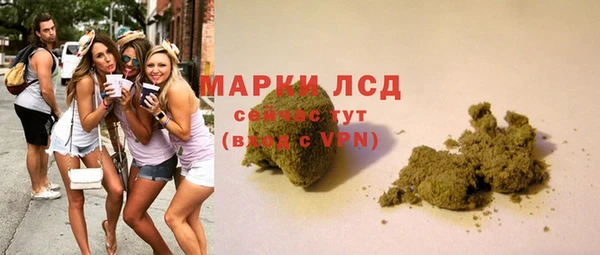 прущие грибы Алексин