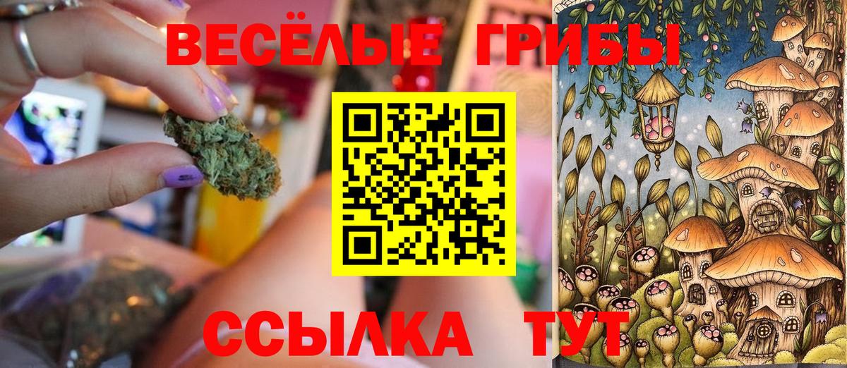 Псилоцибиновые грибы Cubensis  Вход с VPN  Гусь-Хрустальный 