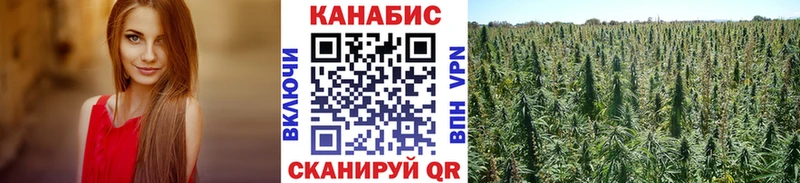 Шишки марихуана марихуана  гидра tor  Гусь-Хрустальный 